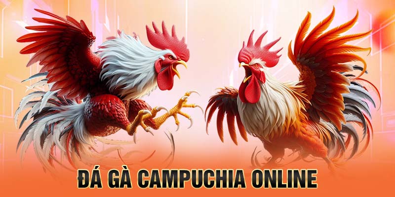 Lịch Trực Tiếp Đá Gà Thomo Hôm Nay – Cập Nhật Nhanh Và Chính Xác Nhất
